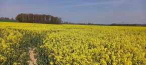 Ferienhof mit Bergblick